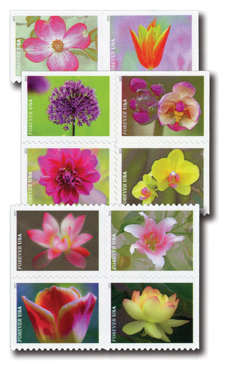All Stamps